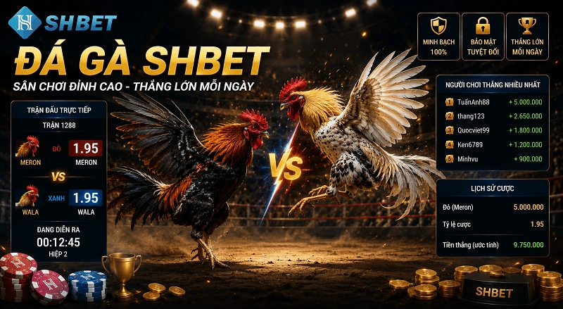 đá gà shbet trực tiếp
