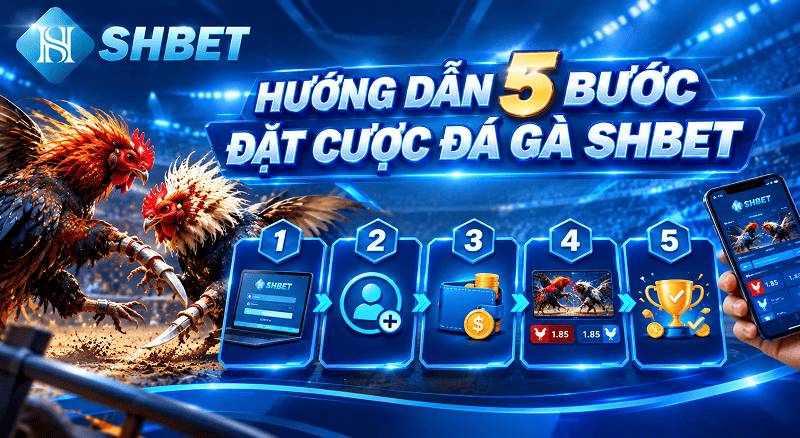 Hướng dẫn 5 bước đặt cược đá gà shbet